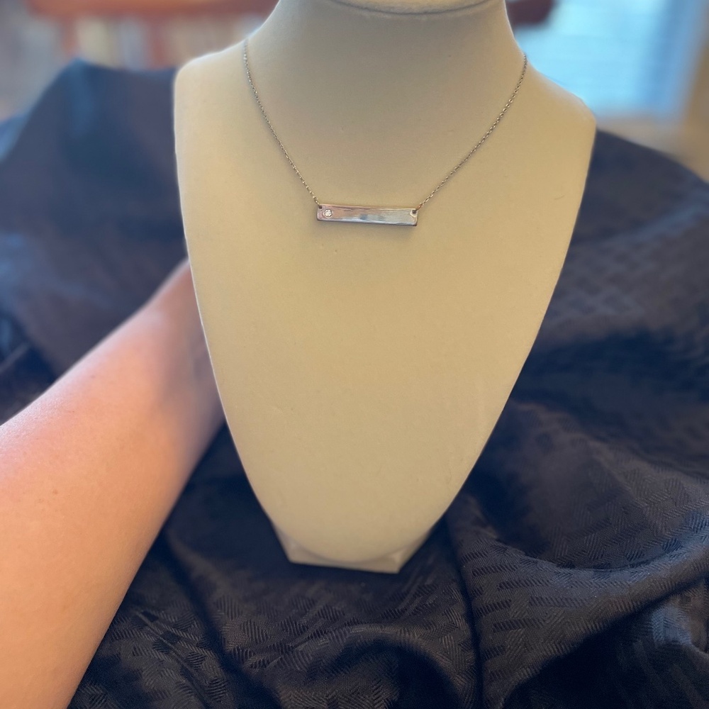 Banana Republic Bar chain necklace